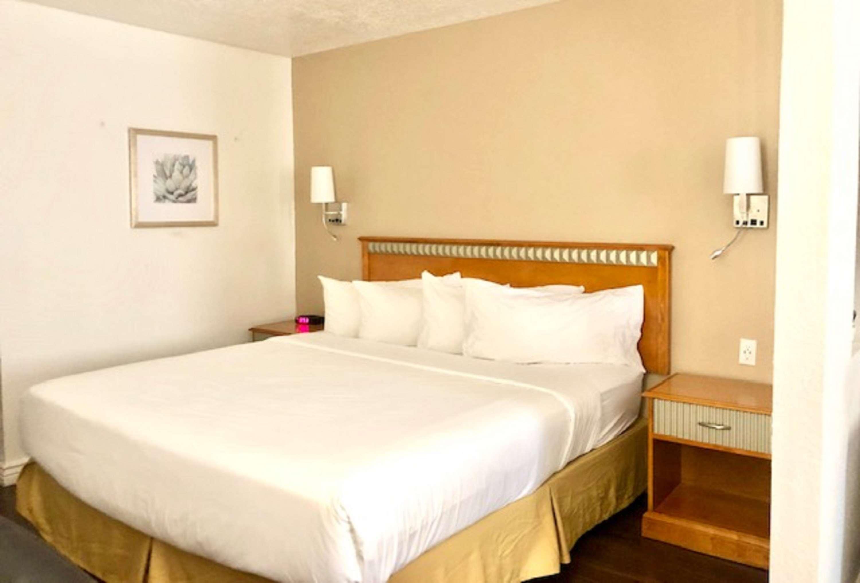 Surestay Plus Hotel By Best Western Albuquerque I-40 Eubank Eksteriør bilde