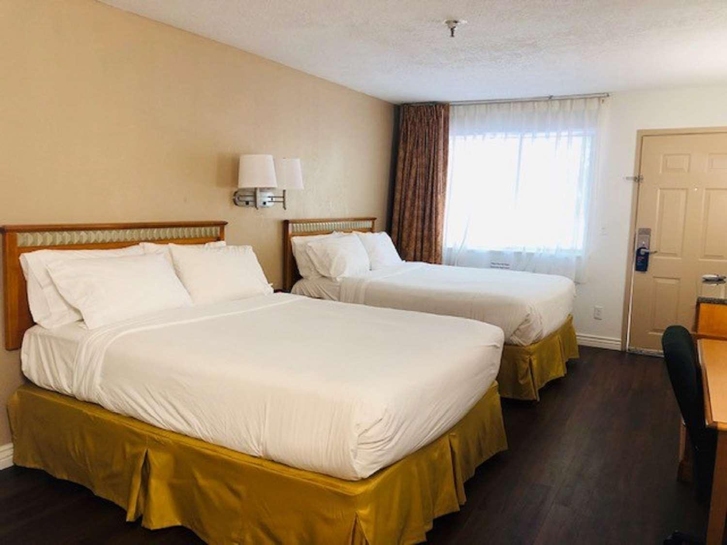 Surestay Plus Hotel By Best Western Albuquerque I-40 Eubank Eksteriør bilde